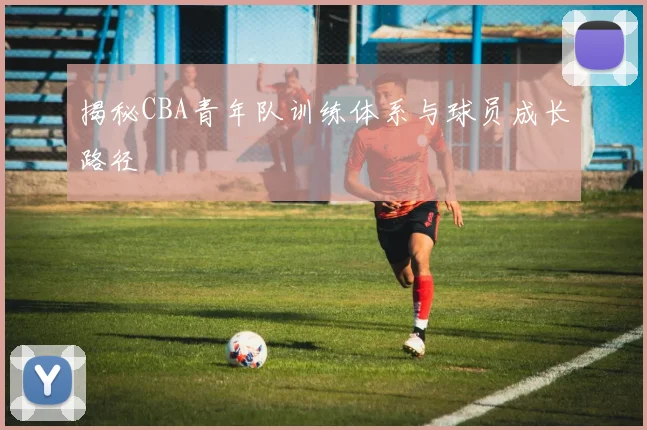 揭秘CBA青年队训练体系与球员成长路径